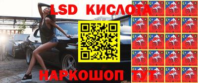 шишки Нарткала