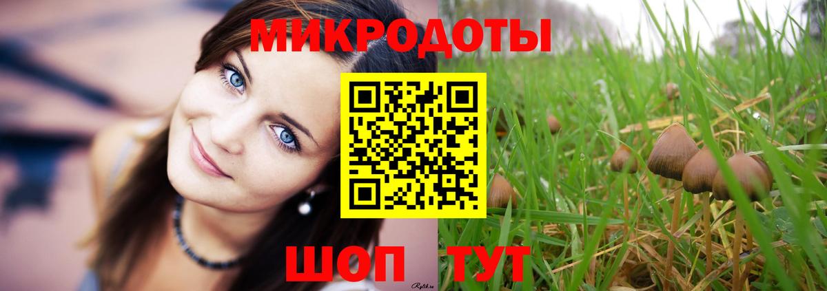Псилоцибиновые грибы прущие грибы  Псилоцибиновые грибы Psilocybine cubensis  Вход с VPN  где продают   Волгоград 